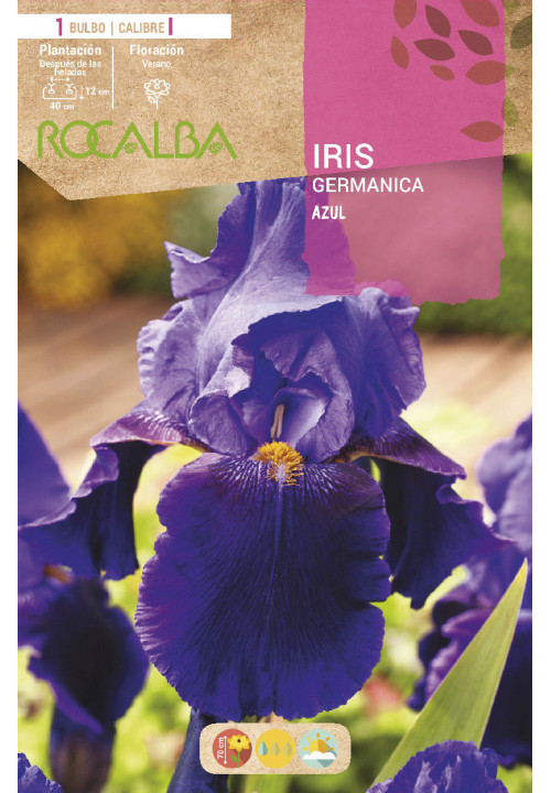 IRIS -AZUL