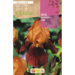 IRIS -COBRE