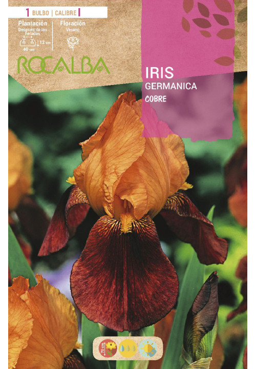 IRIS -COBRE