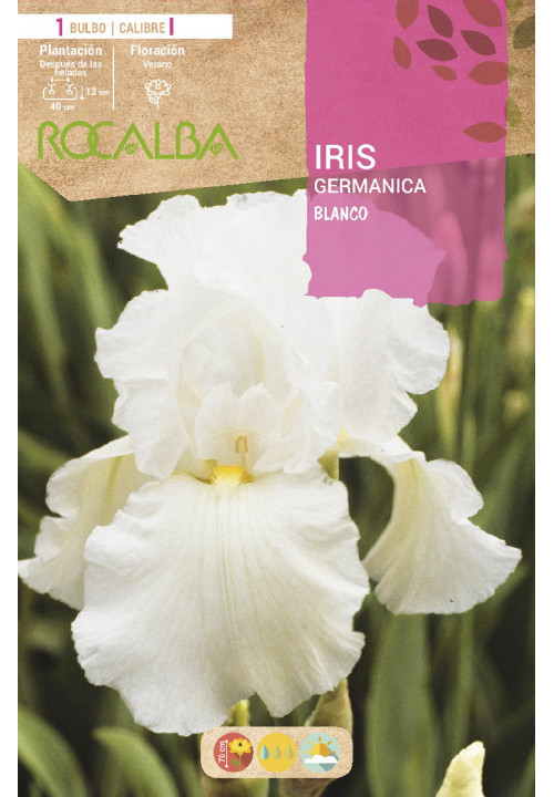 IRIS -BLANCO