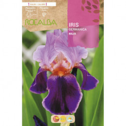 IRIS-MALVA