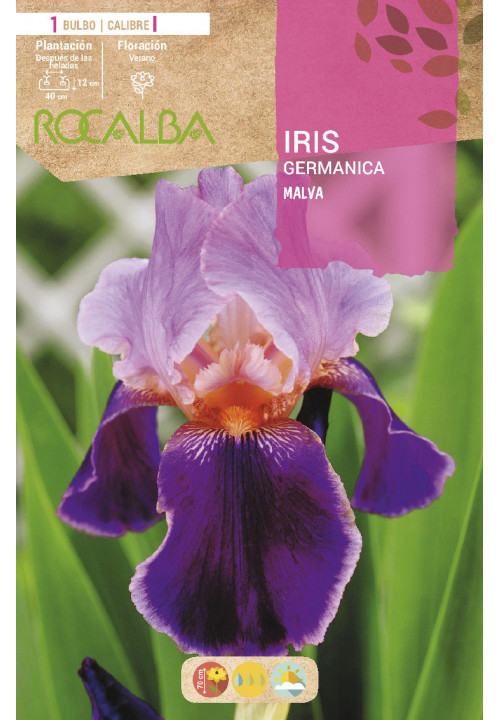 IRIS-MALVA