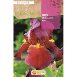 IRIS -ROJO