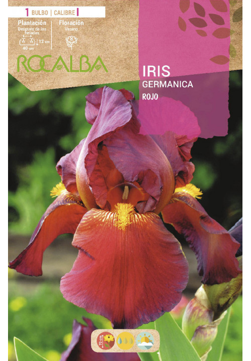 IRIS -ROJO