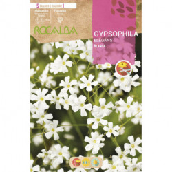 ELEGANS -BLANCA FLOR GRANDE