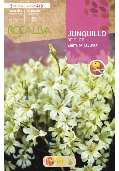 JUNQUILLOS DE OLOR -Varita de San Jose-