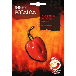 PIMIENTO PICANTE Habanero red