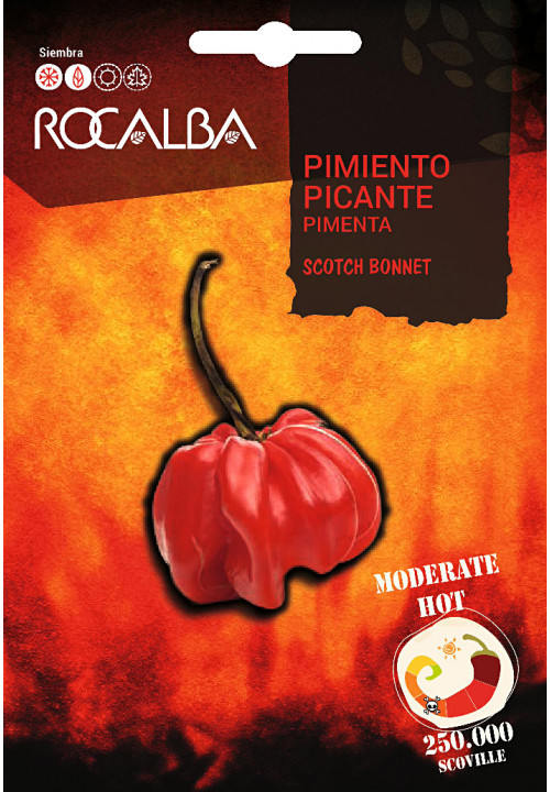 PIMIENTO PICANTE Scotch Bonnet