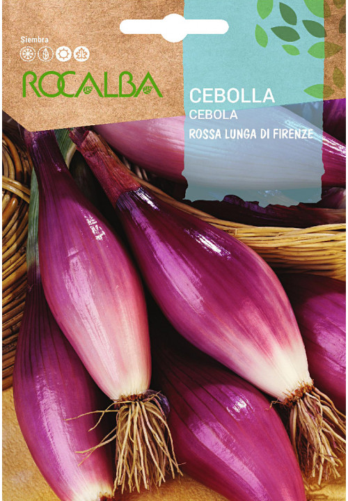 CEBOLLA Rossa Lunga di Firenze