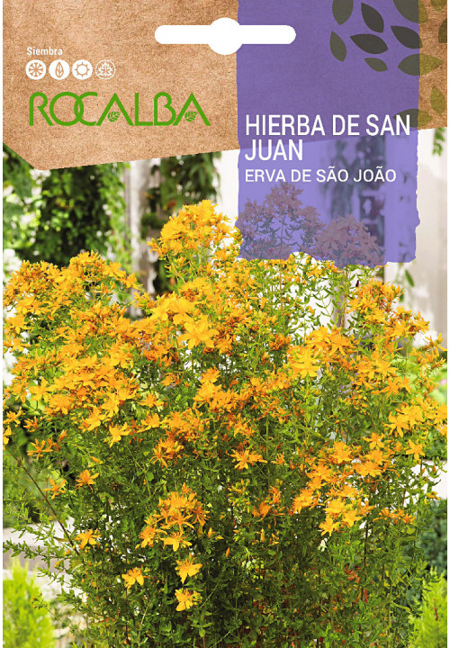 HIERBA de San Juan