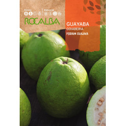 GUAYABA