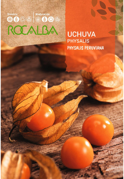 PHYSALIS PERUANA 