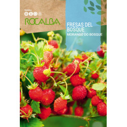 FRESAS DEL BOSQUE