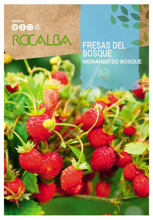 FRAISES DES BOIS