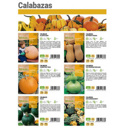 Catálogo calabazas