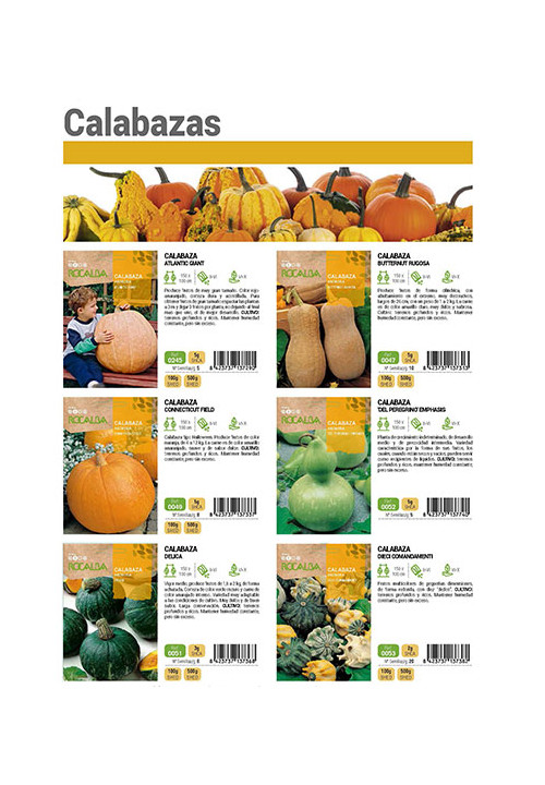 Catálogo calabazas