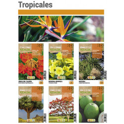 Catálogo tropicales