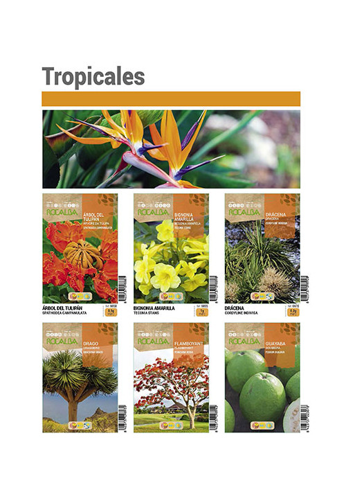 Catálogo tropicais