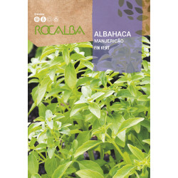 ALBAHACA FIN VERT