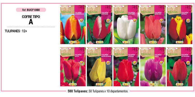 COFRE TIPO A -TULIPANES-500 BULBOS