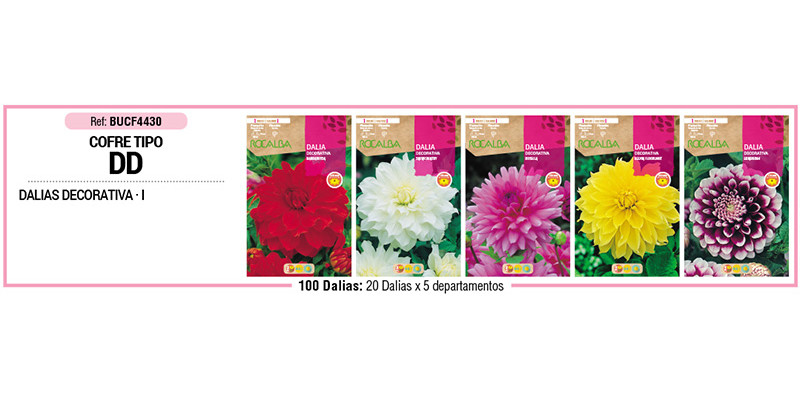 COFRE TIPO DD DALIAS DECORATIVAS 100 BU