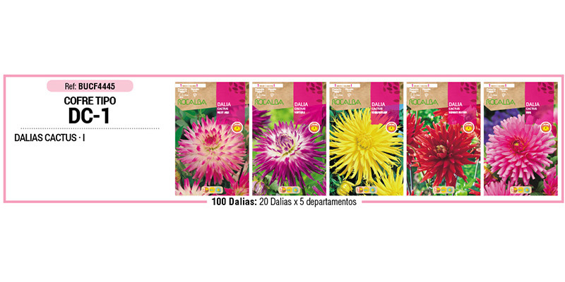 COFRE TIPO DC1 DALIAS CACTUS 100 BULBOS