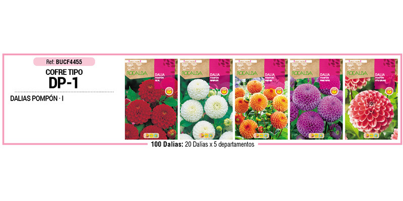 COFRE TIPO DP1 DALIAS POMPON 100 BULBOS