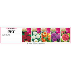 COFRE TIPO DP1 DALIAS POMPON 100 BULBOS