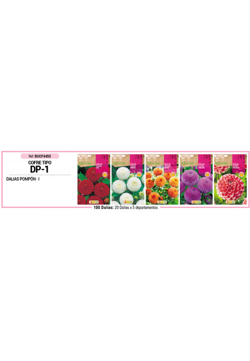 COFRE TIPO DP1 DALIAS POMPON 100 BULBOS