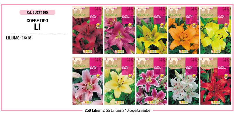 COFRE TIPO LI LILIUMS 250 BULBOS