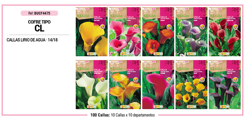 COFRE TIPO CL CALLAS 100 BULBOS