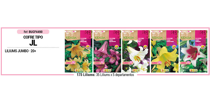 COFRE TIPO JL LILIUMS JUMBO 175 BULBOS