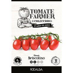 Tomate Farmer BRISCOLINO