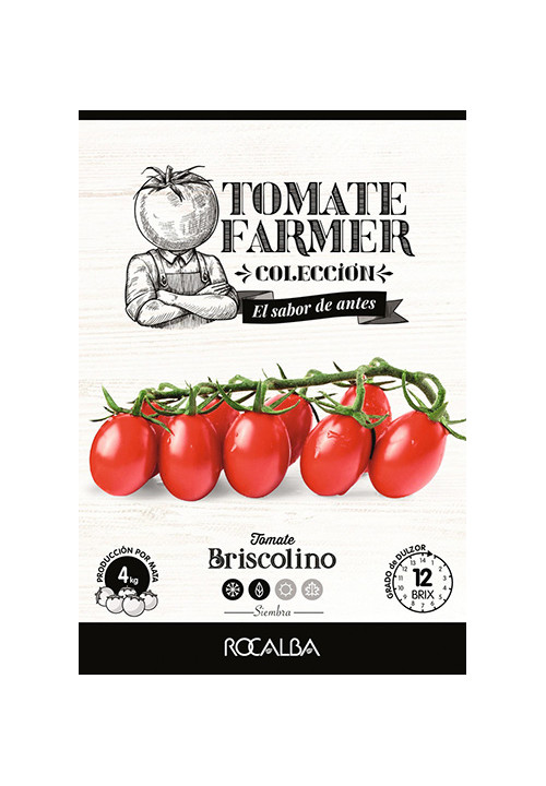 Tomate Farmer BRISCOLINO