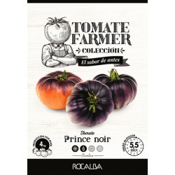 Tomate Farmer PRINCE NOIR