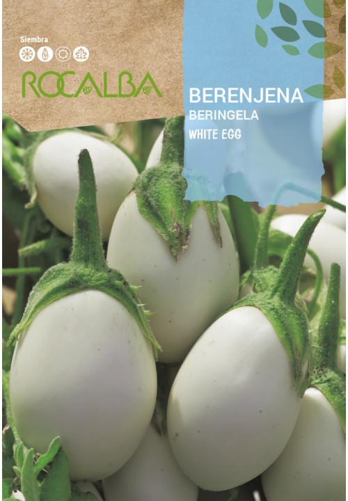 Beringela WHITE EGG