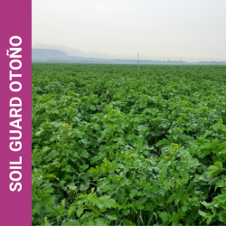 Soil guard otoño