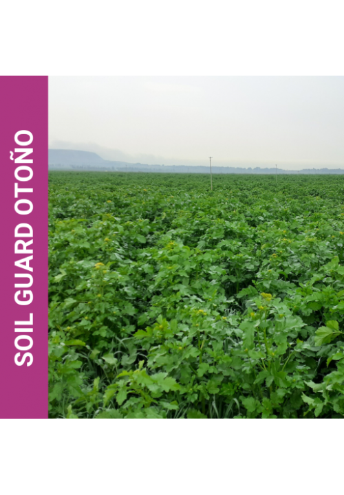 Soil guard otoño