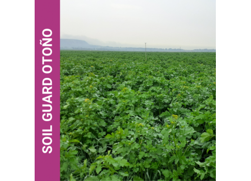 Soil guard otoño