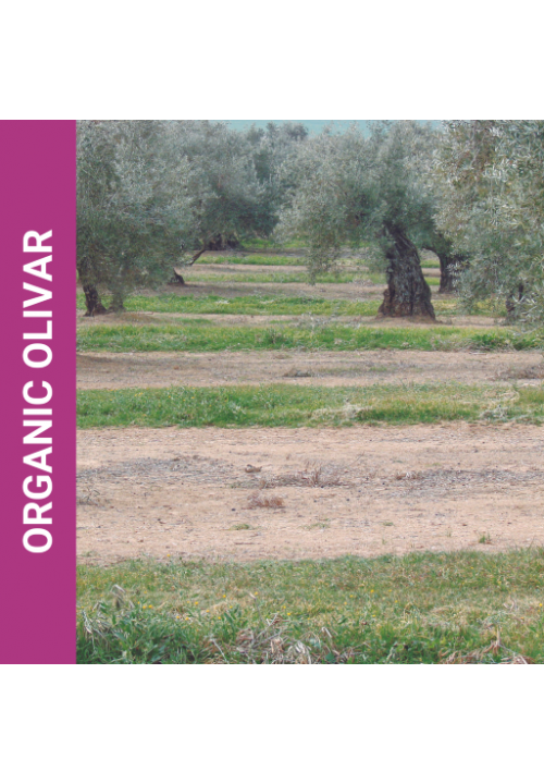 Organic olivar