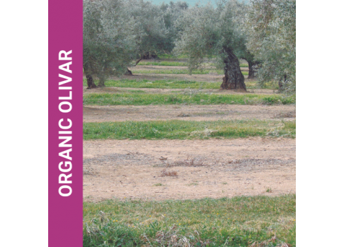 Organic olivar