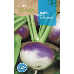 Nabo redondo Norfolk cuello violeta