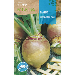 TURNIP REDONDO NORFOLK TIPO VASCO