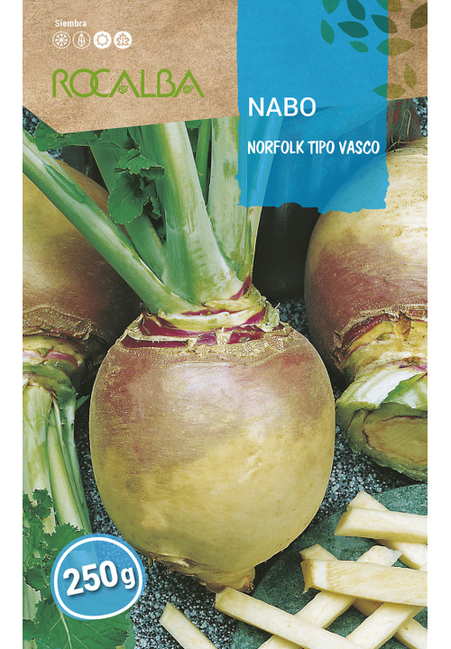 NABO redondo Norfolk tipo vasco