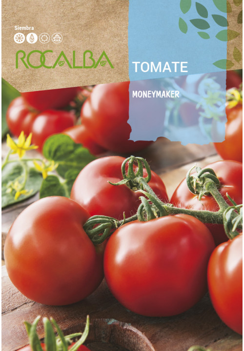 MONEYMAKER TOMATO