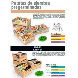 Catálogo Patatas de siembra