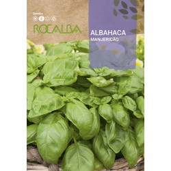 LARGE GREEN BASIL