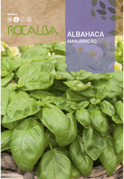 ALBAHACA