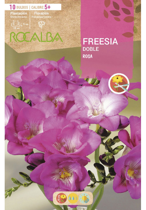 FREESIAS DOBLES -ROSA