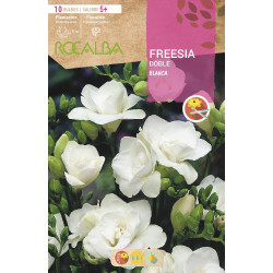FREESIAS DOBLES -BLANCO